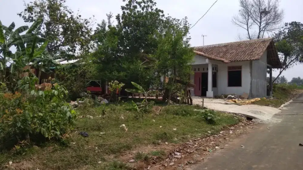 Jual Tanah Kebun Murah Tenjo Bogor