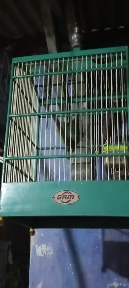 Kandang burung  siap gantung bonus isi