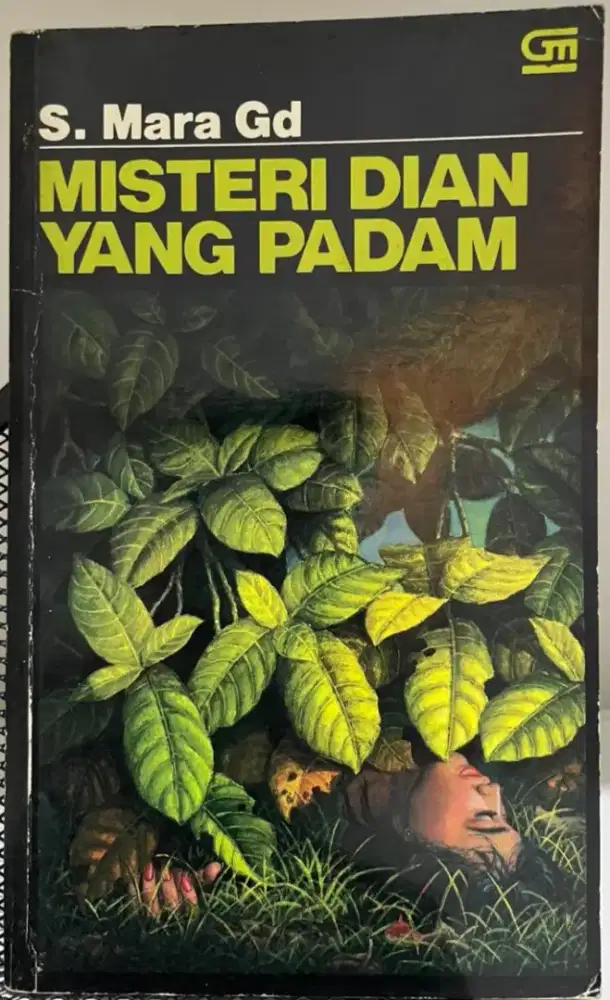 Novel misteri detektif MISTERI DIAN YANG PADAM.