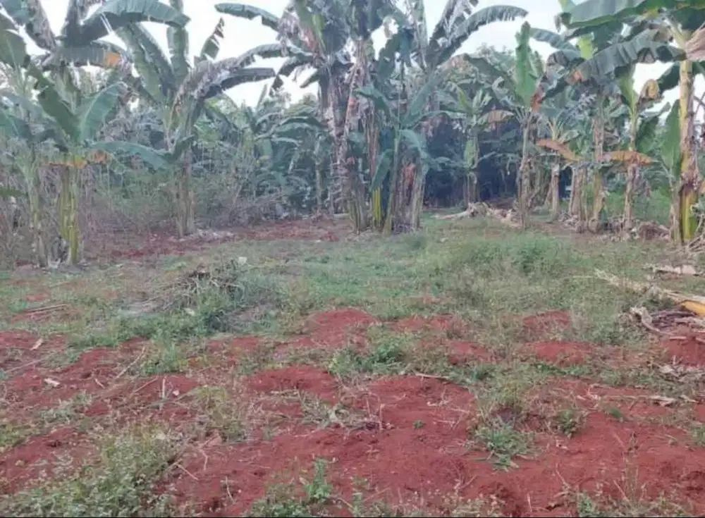 DIjual Tanah Depan Jalan Cipondoh Tangerang