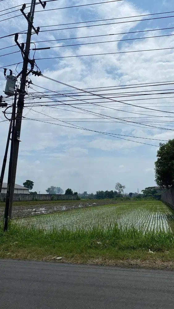 Tanah LANGKA zona merah Jl. Mojo Dagen lingkungan pabrik depan PT PPI