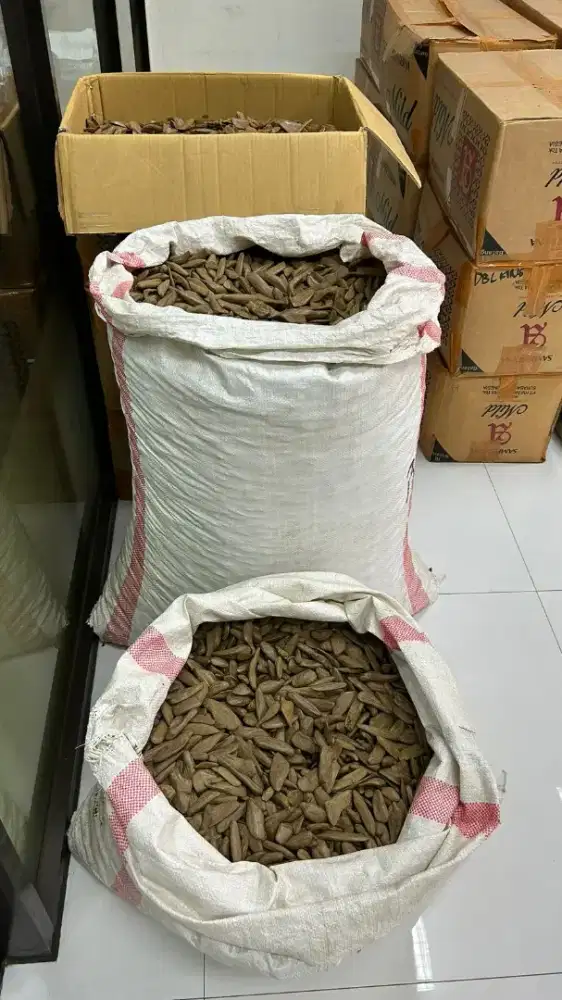 Di jual Kayu Gaharu Alami Premium Tabii & Muhassan ready kg / ton