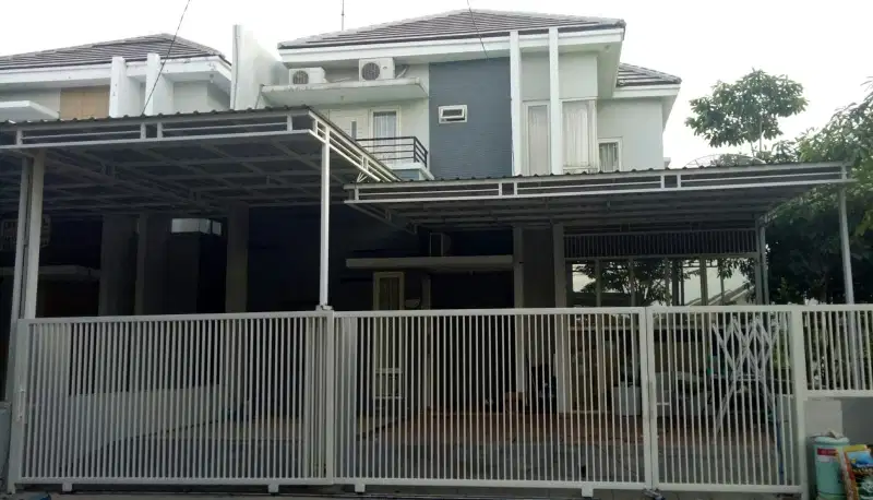 [MURAH] Green Semanggi Siap Pakai