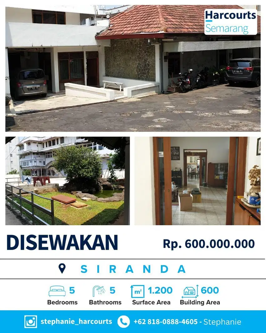 Sewa Rumah Kontrakan Bagus Besar Luas 600M  Di Siranda, Semarang