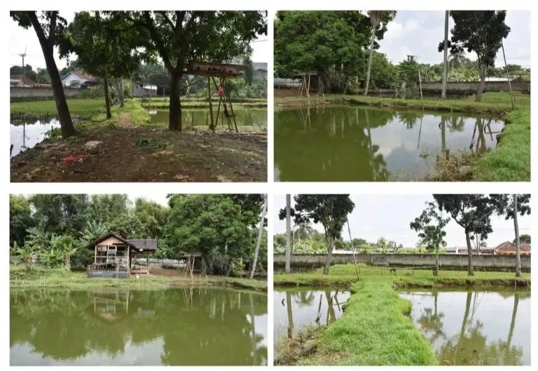 Tanah & Empang di Cidokom Gn. Sindur