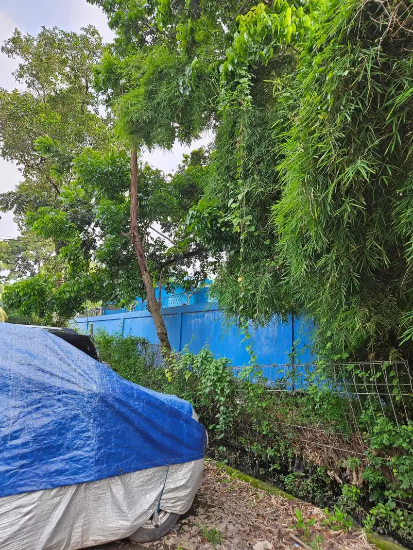DIJUAL CEPAT  TANAH KANVLING DI CENGKARENG TIMUR