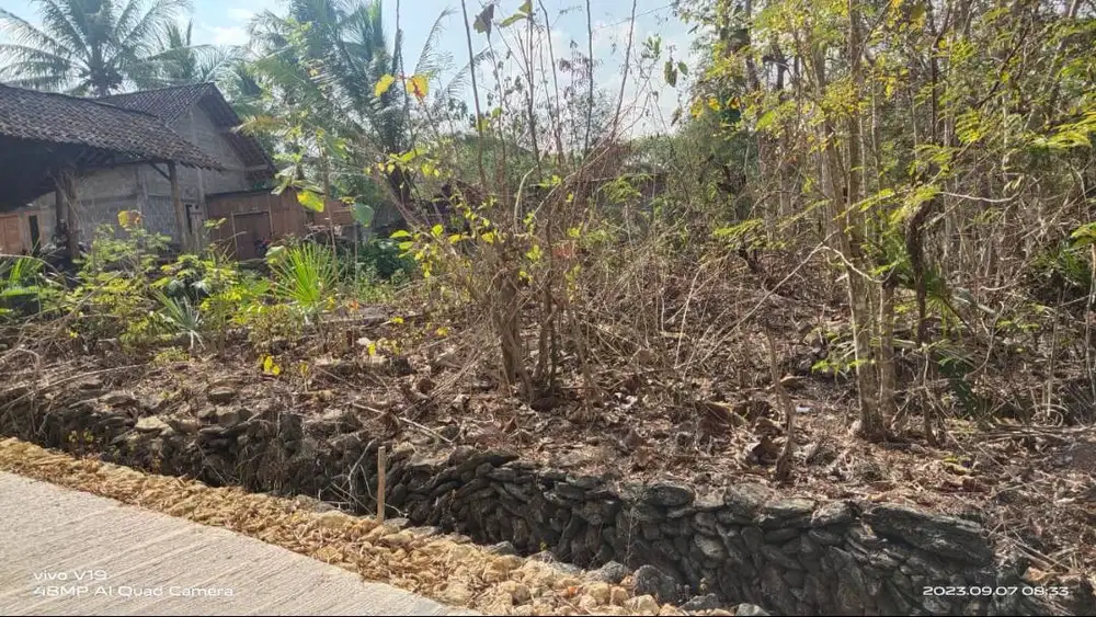 Dijual Tanah Pekarangan di Tuksono Kawasan Industri Sentolo