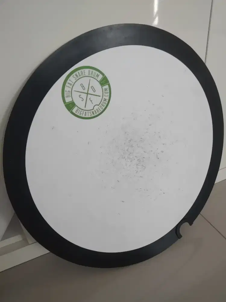 BFSD Green Monster 14