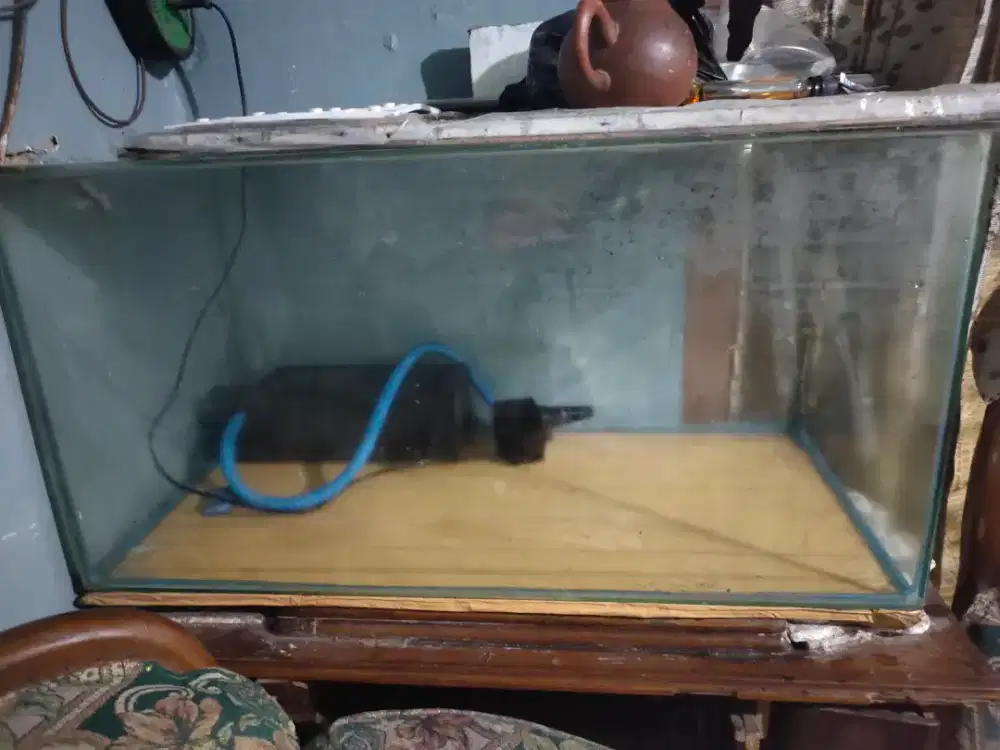 Aquarium plus filter