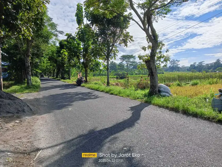 Tanah sawah sangat nyaman getas tlogoadi cebonga