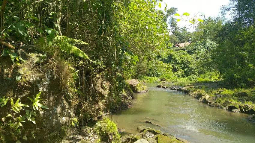 Freehold 1.500 sqm Land with Stunning Views of Valley and River Ubud