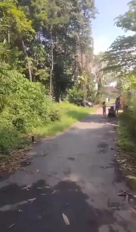 tanah nyaman dan strategis margoagung seyegan cocok hunian