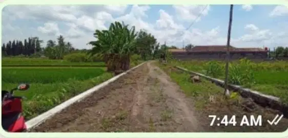 tanah nyaman dan asri seyegan dekat tol jogja