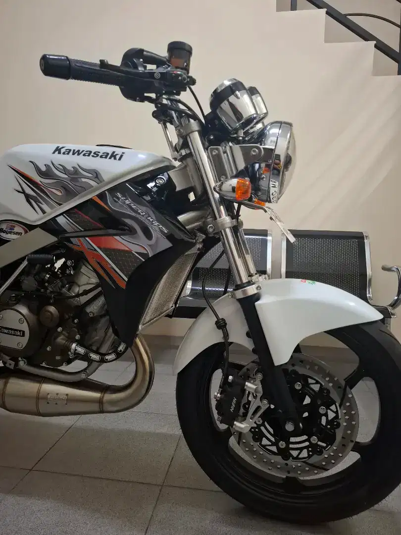 Ninja 2t albino