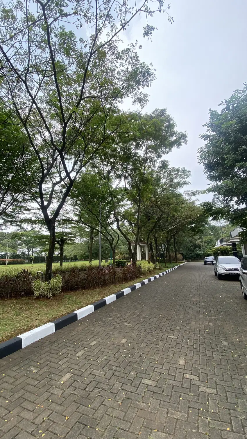 KAVLING BADAN 300 meter De Park Cajuputi BSD DEPAN TAMAN PANJANG