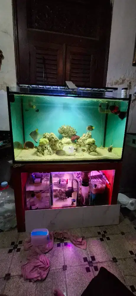 Aquarium laut fullset