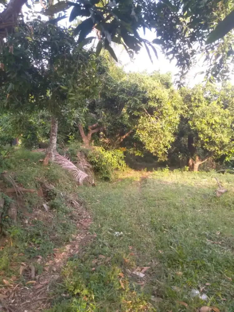 Tanah view laut di lovina desa kayuputih