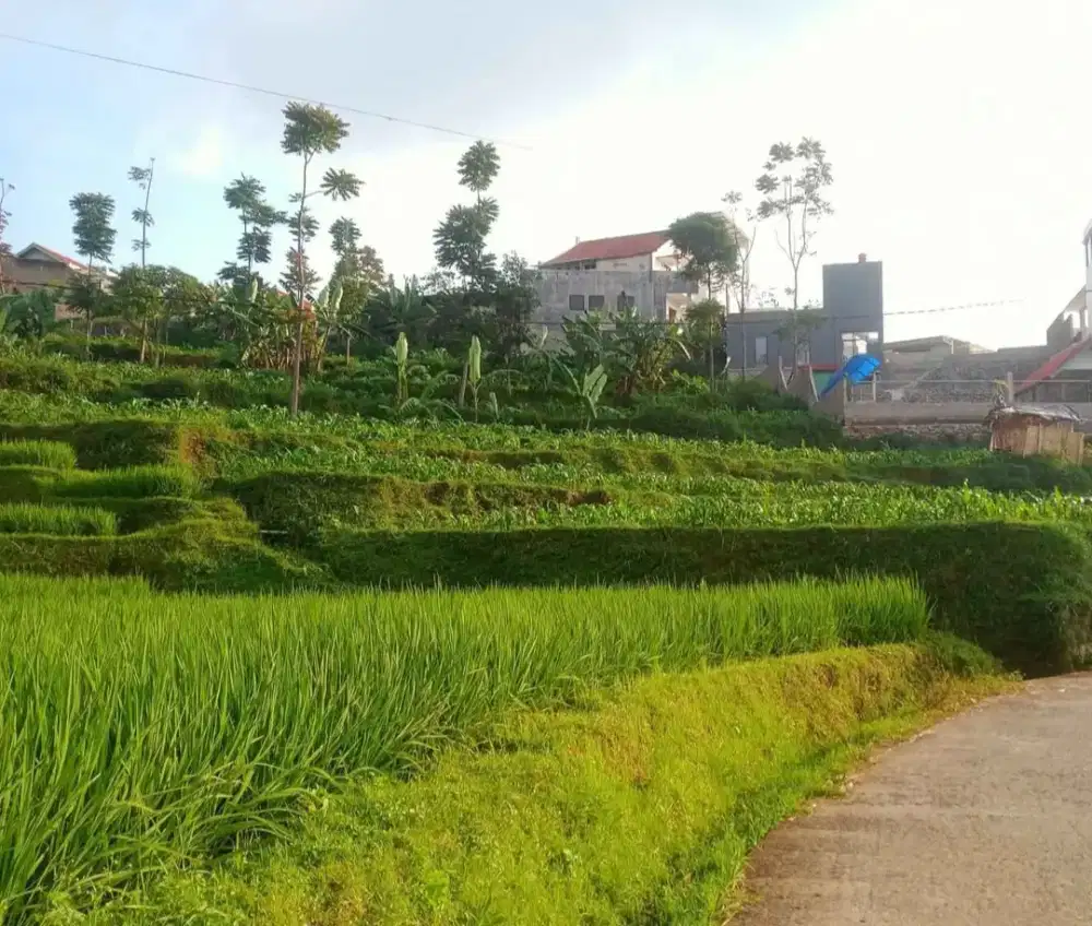 TANAH AREA WISATA PUNTANG CIMAUNG