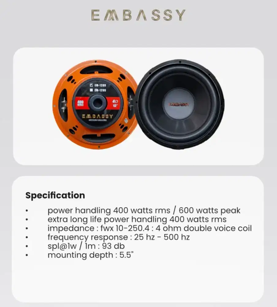 Subwoofer 12in embassy em1289