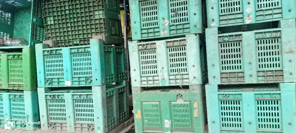 Container buah ex mall
