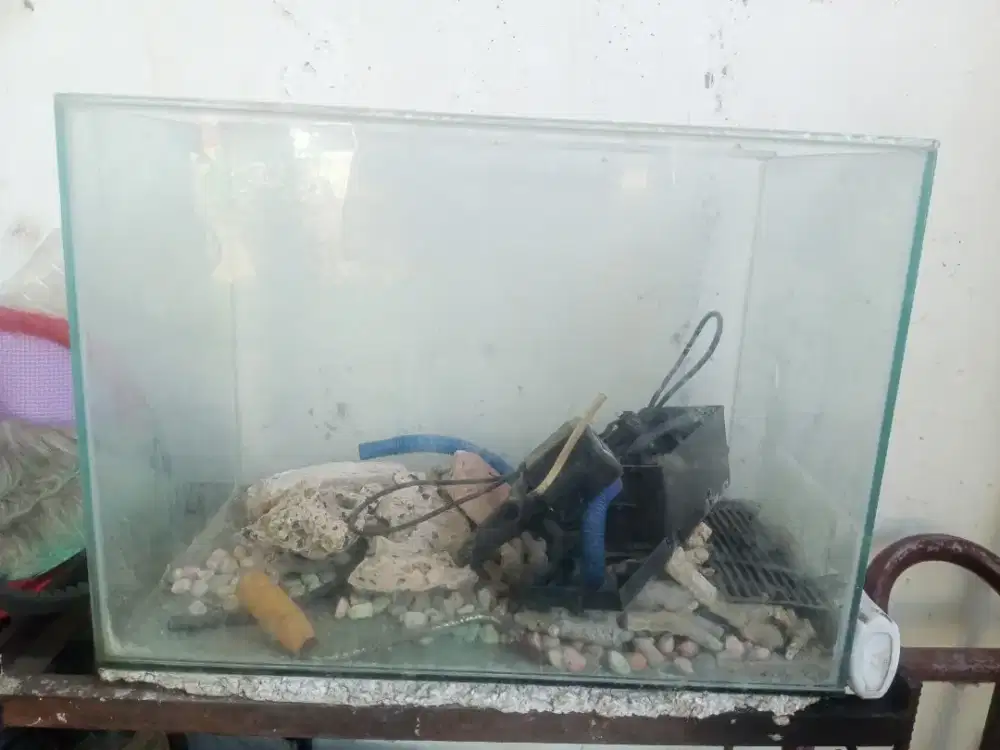 Aquarium di tambun selatan