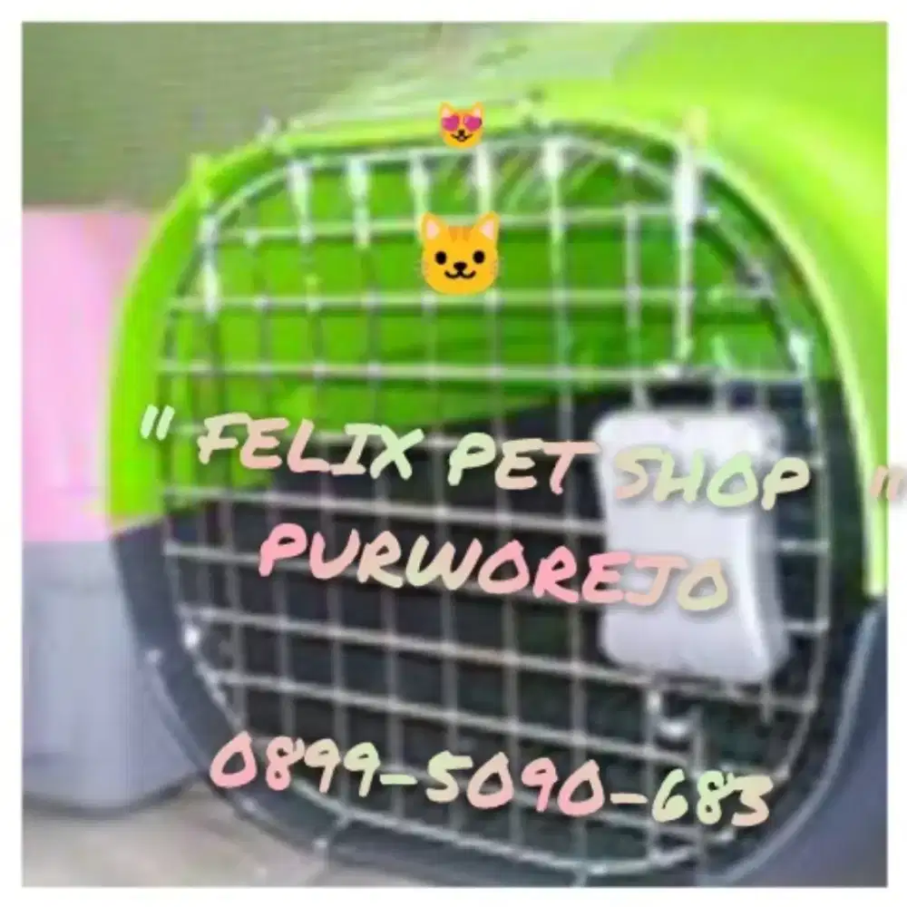Kandang kucing di Pet Shop Felix Purworejo