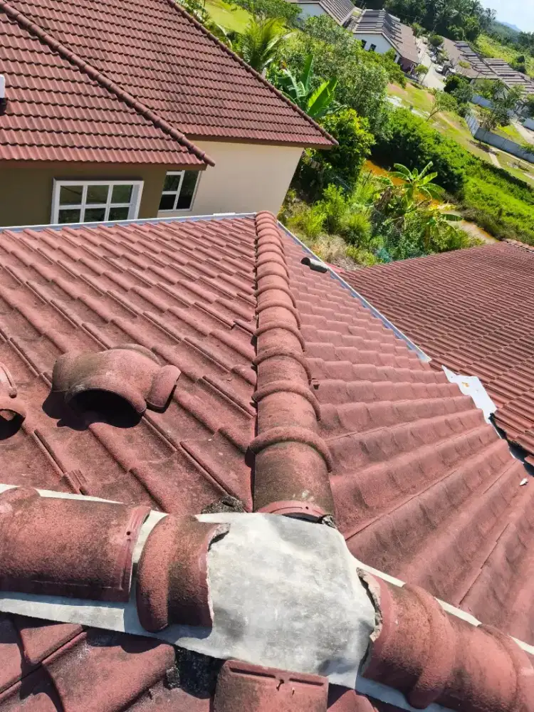 BONGKAR ATAP BOCOR & FLAPON FVC