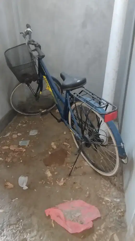 Sepeda anak & dewasa merk exotic jual murah