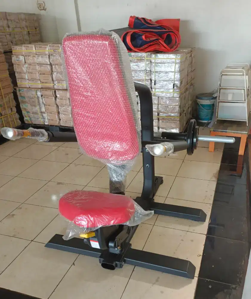 DIPS TRICEP LOADED BODY STRONG