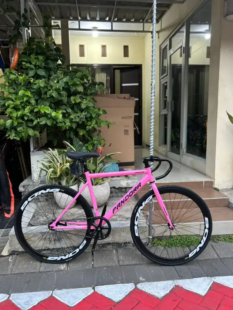 Fixie Police Pandora