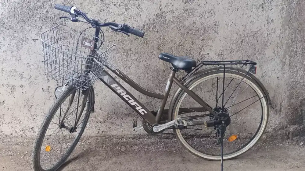 Sepeda keranjang perempuan