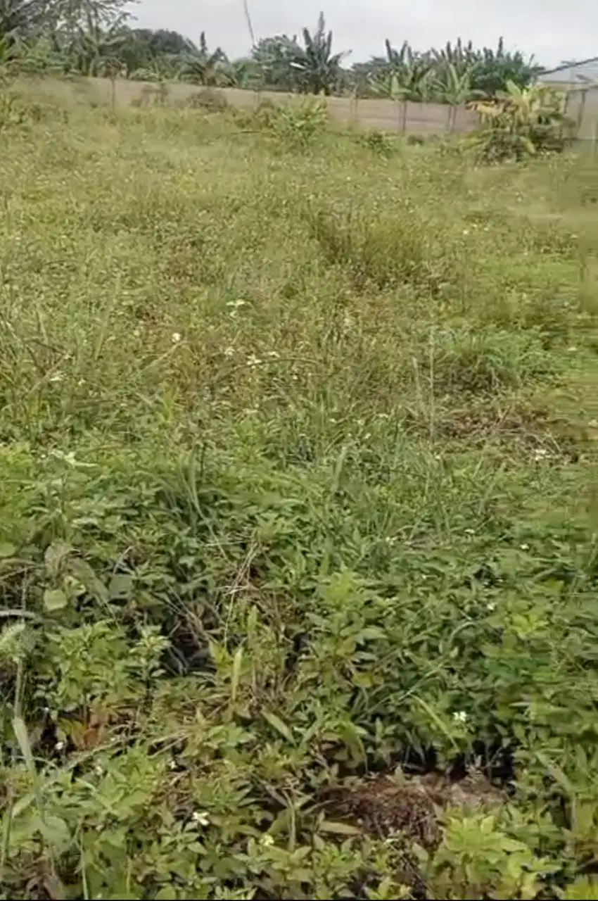 Di jual tanah siap bangun gunung Putri Bogor