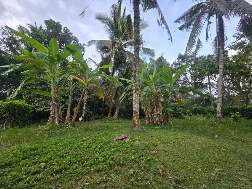 Dijual Tanah Luas 2,35 Ha (225 Are) – SHM – Harga Langsung Pemilik