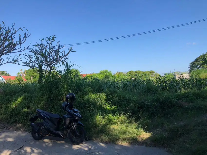 Dijual tanah sanur siap bangun cocok untuk komplek villa