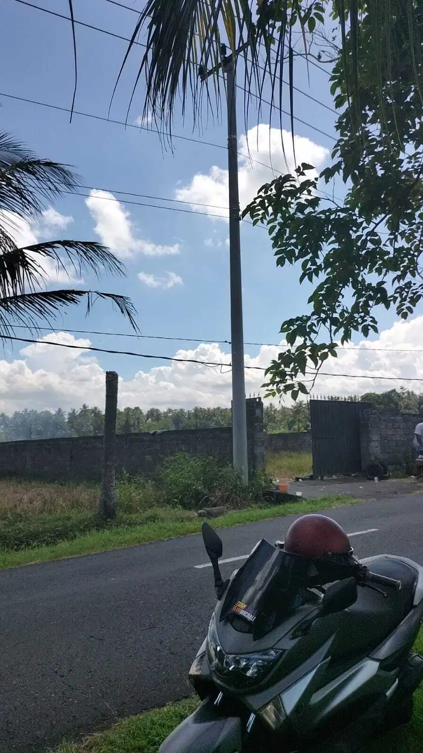 Di tanah mengwi pasar mengwi  cocok buat segala bisnis
