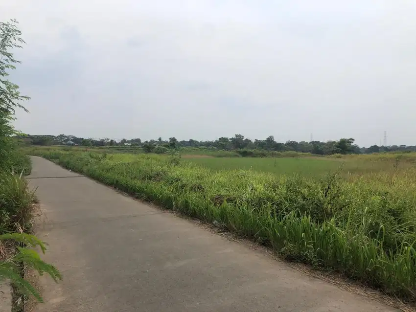Dijual Cepat Tanah Desa Kroper Kresek Pinggir Tol
