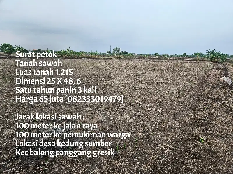 Termurah Tanah sawah dekat jl. raya & pemukiman warga