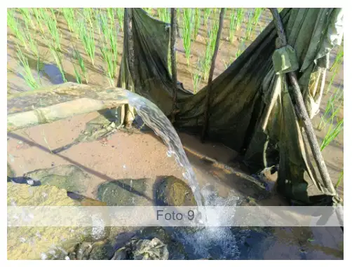 Jual sawah produktip samping jalan besar