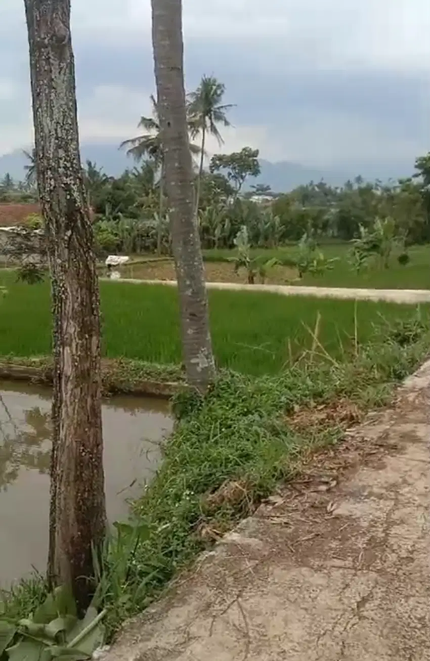 Tanah  kolam ikan view bagus Akses masuk mobil