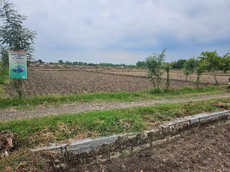 Tanah pertanian nol jalan desa balong panggang