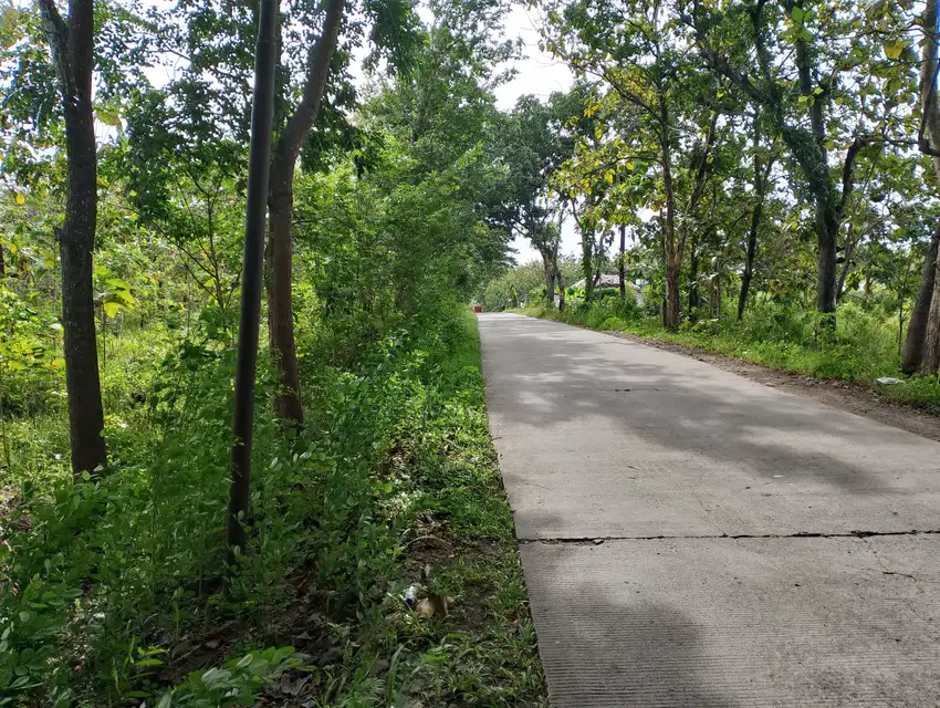 Dijual tanah pinggir jalan, tanah dijual murah pinggir jalan