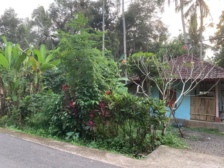 Dijual rumah kebun marga Tabanan Bali