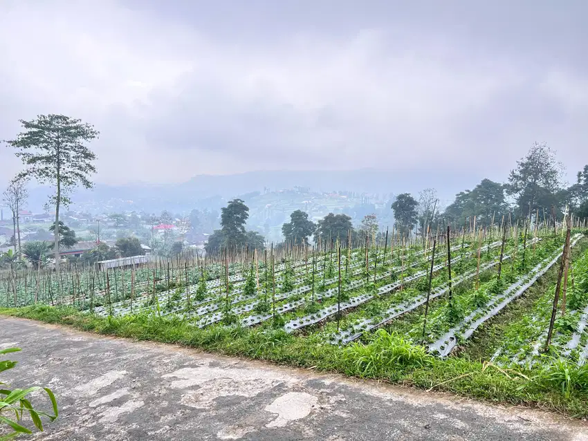 Tanah Pekarangan View tanpa Terhalang, Kemuning Karanganyar