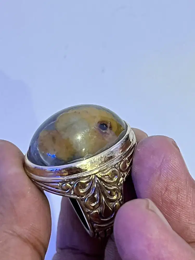 Natural cincin batu gambar ikan