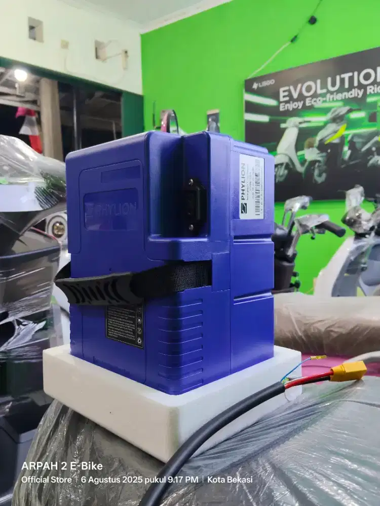 Batrei Lithium phylion 48V20A