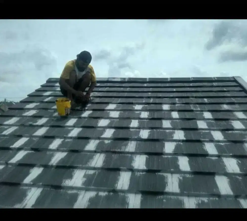 Tukang perbaikan atap bocor dan pembuatan kanopi dll