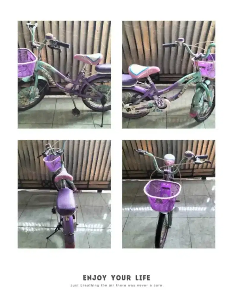 Sepeda Mini Anak Pacific 18