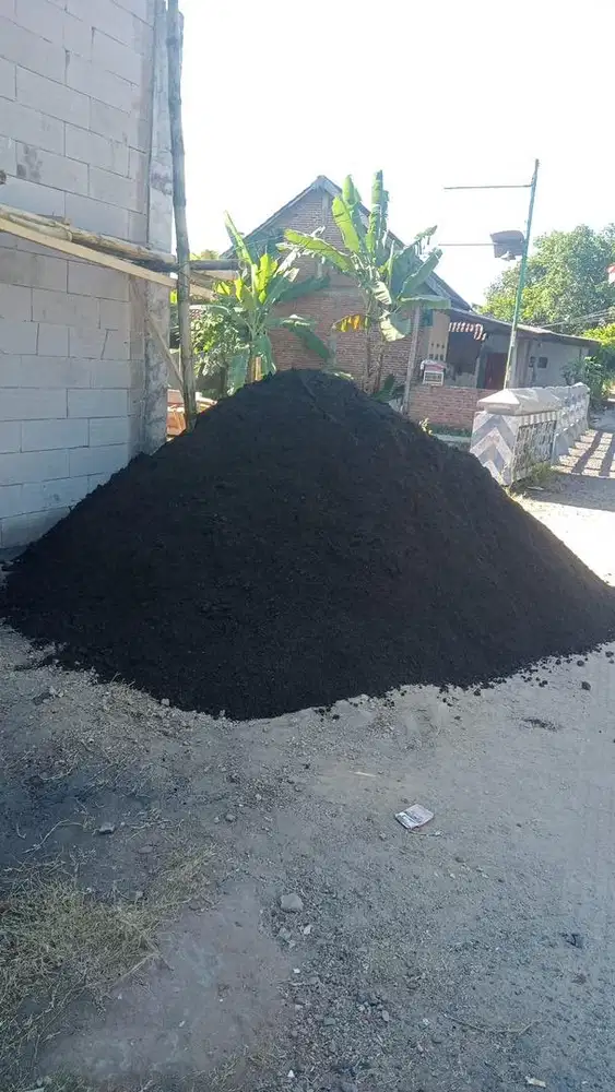 Pasir lumajang super