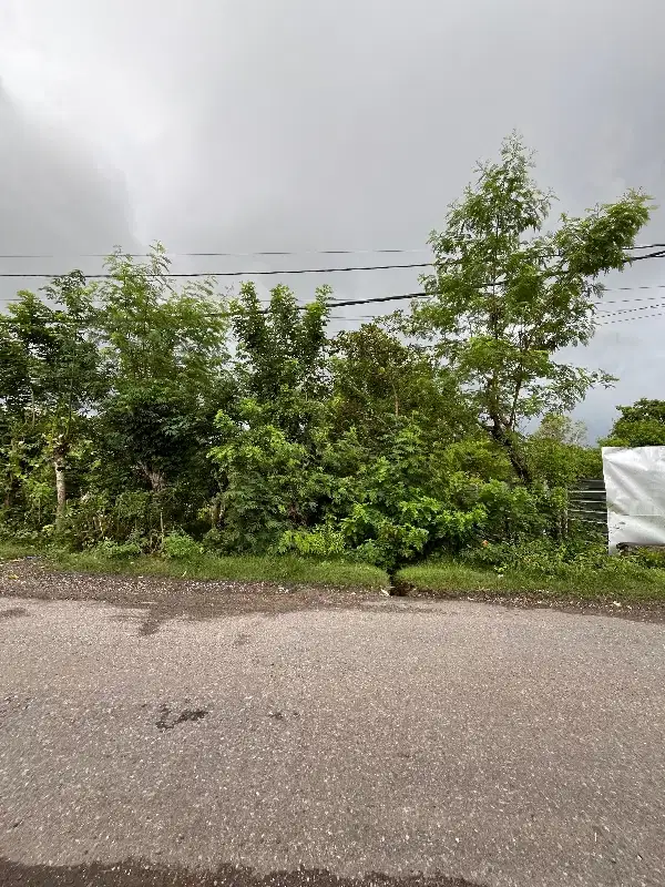Dijual tanah di jalan utama Jl Gn Payung Kutuh