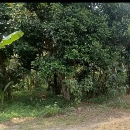 Dijual Tanah dekat Puspitek Gunung Sindur